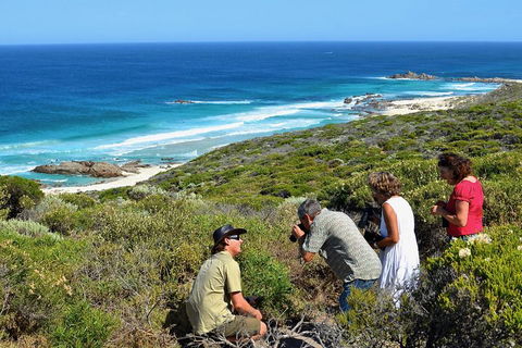 Margaret River Coastal And Wildlife Eco Trip From Busselton Or Dunsborough - Accommodation Gold Coast 2