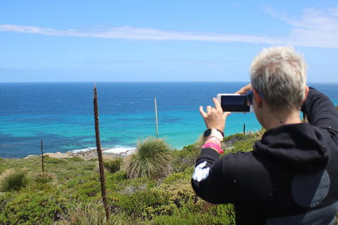Margaret River Coastal And Wildlife Eco Trip From Busselton Or Dunsborough - Accommodation Gold Coast 3