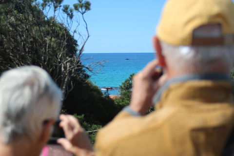 Margaret River Coastal And Wildlife Eco Trip From Busselton Or Dunsborough - Accommodation Gold Coast 5